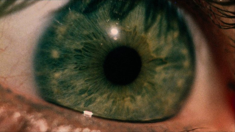 кадр из фильма Техасская резня бензопилой