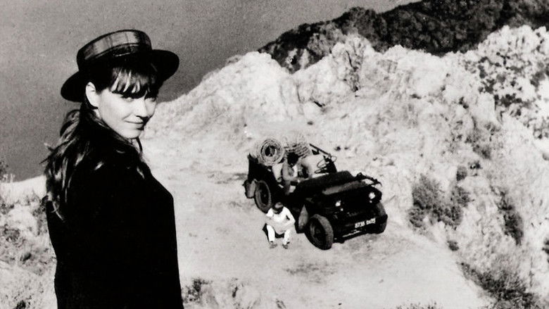 Le Soleil dans l’œil