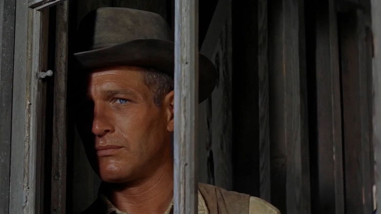 кадр из фильма Омбре: Отважный стрелок