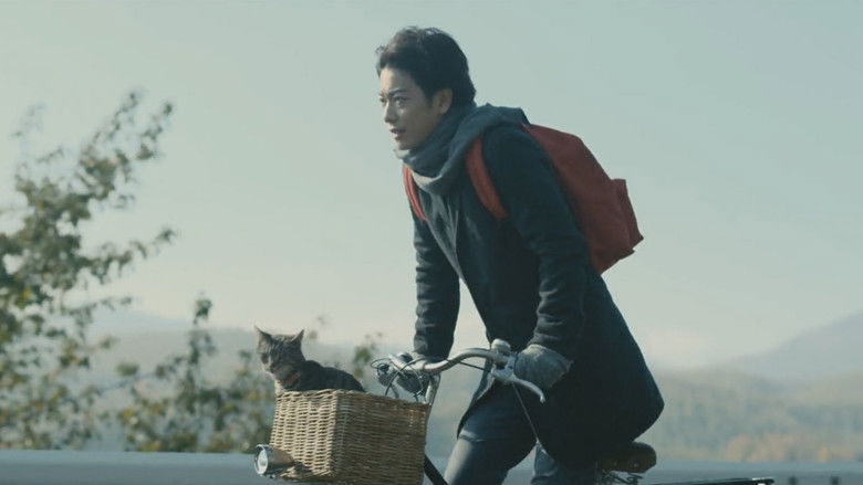 кадр из фильма Если кошки исчезнут во всём мире