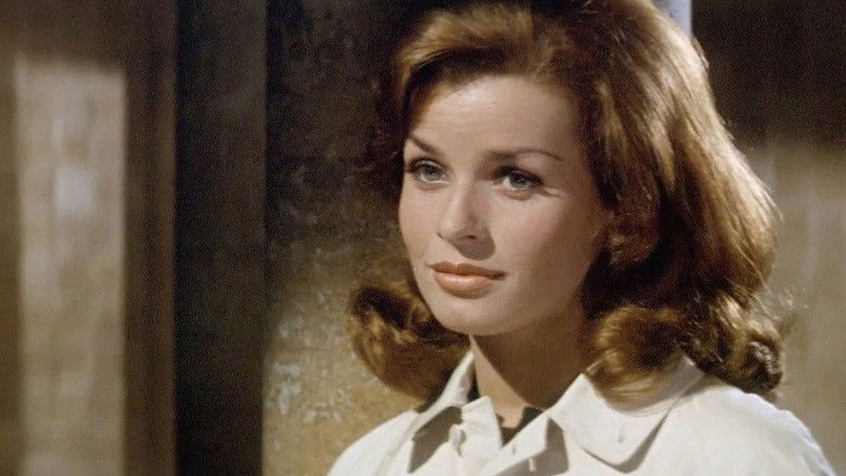 кадр из фильма Меморандум Квиллера