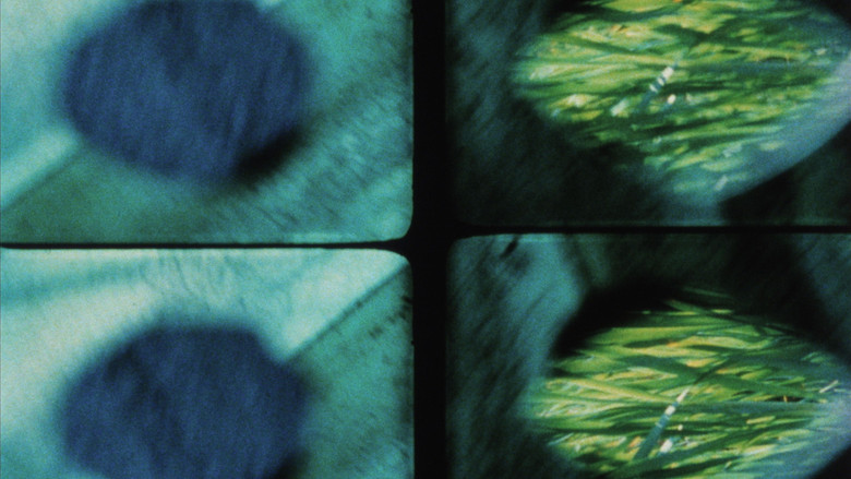 кадр из фильма 17 Reasons Why