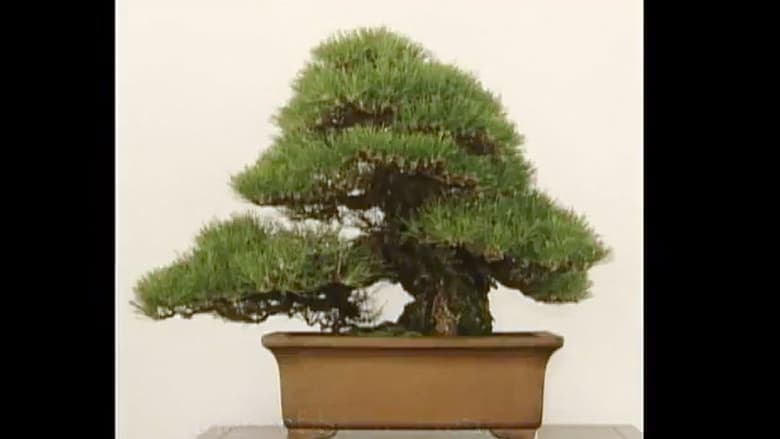 кадр из фильма Bonsai-Works of Divinity