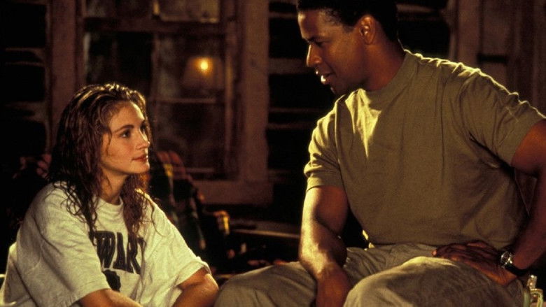 кадр из фильма Дело о пеликанах