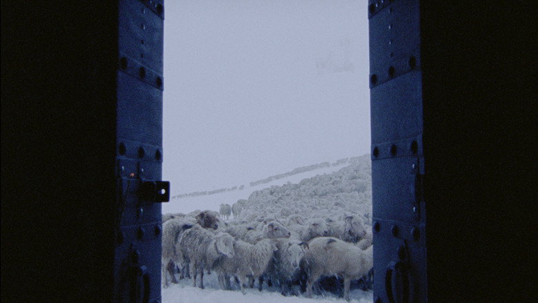 кадр из фильма The Wind Blows Wherever It Wants