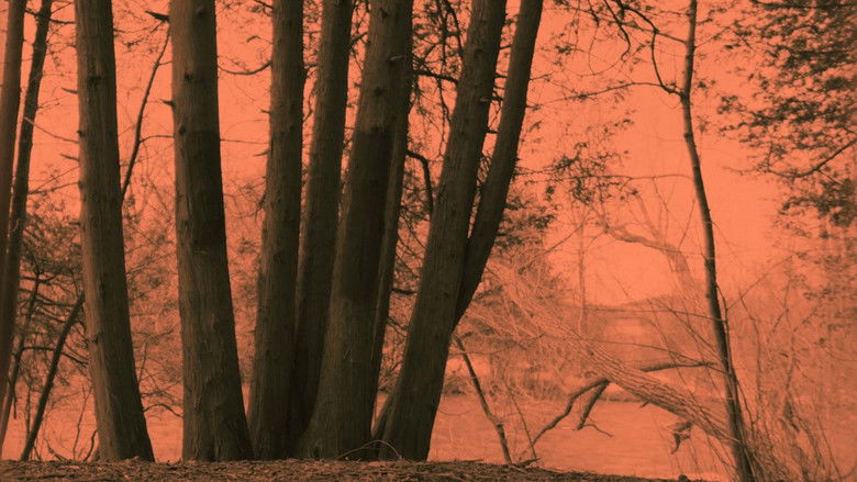 кадр из фильма Cold Days From the Treetops