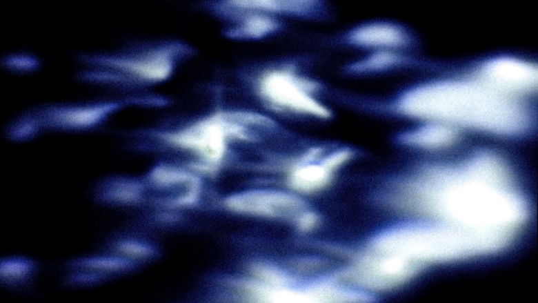 кадр из фильма Riflessione