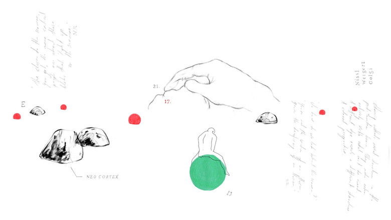 кадр из фильма Beautiful Figures