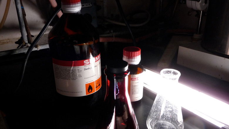 кадр из фильма National Geographic Investigates: LSD and Psychedelics