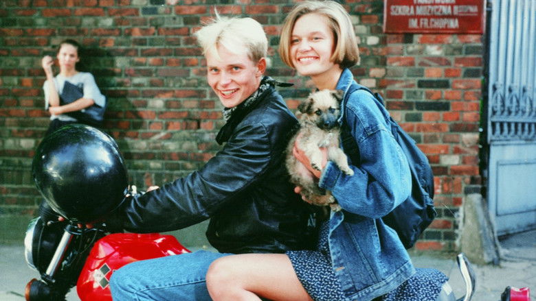 кадр из фильма Kolejność uczuć