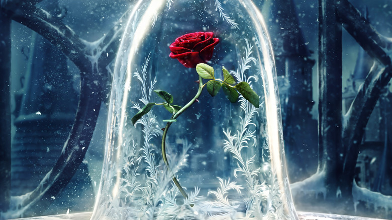 кадр из фильма Красавица и чудовище