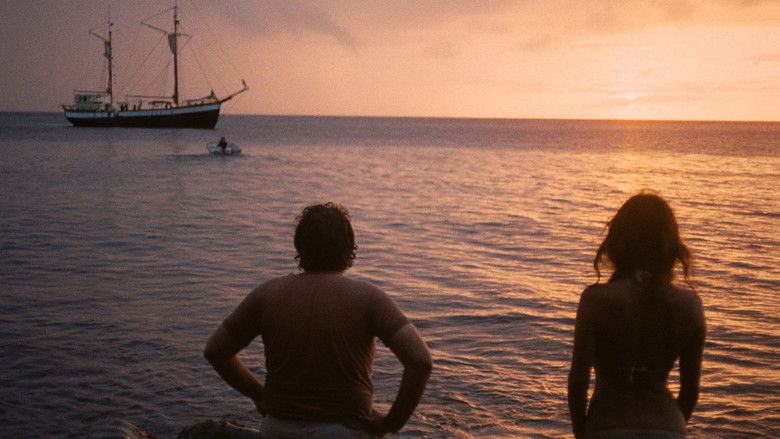 кадр из фильма Спасшиеся с острова Черепахи