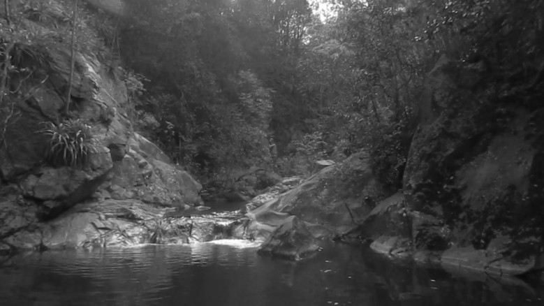 кадр из фильма Supaj Ñuñu