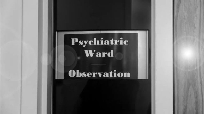 кадр из фильма The Cat Photo