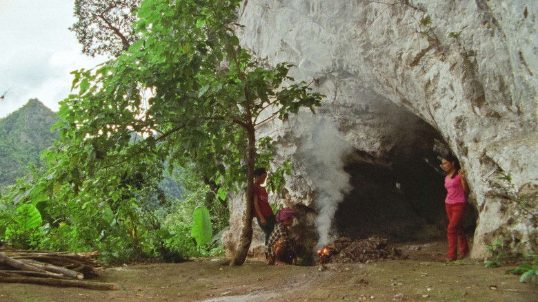 кадр из фильма Nhà Cây
