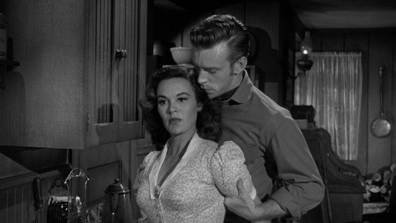 кадр из фильма Stranger at My Door