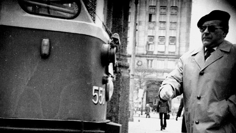 кадр из фильма Zwyczajny kraj