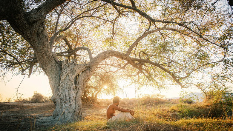 кадр из фильма غذای نیمروز