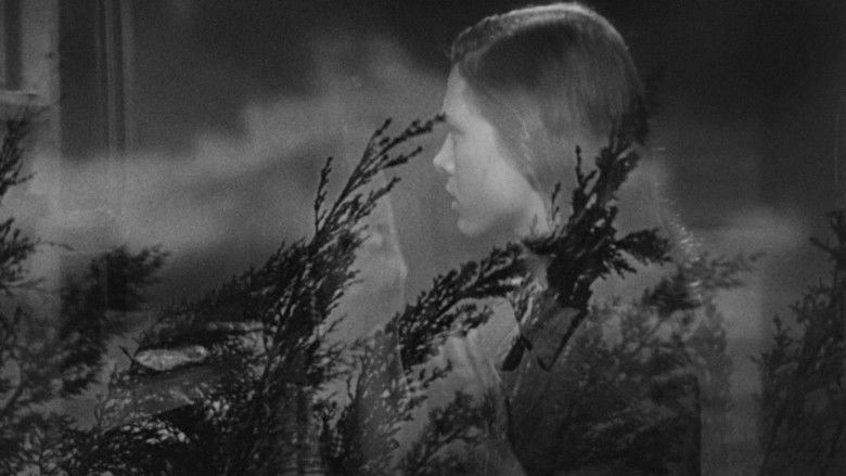 кадр из фильма Они живут по ночам