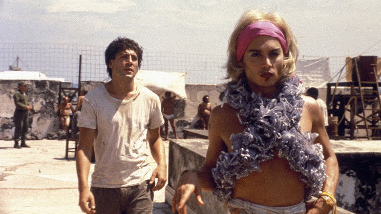 кадр из фильма Пока не наступит ночь