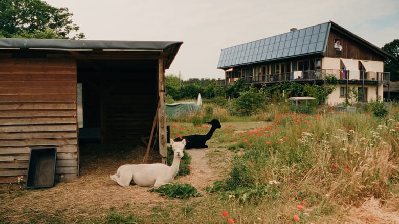 кадр из фильма Machland