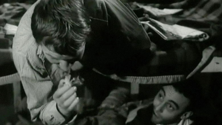 кадр из фильма Les Ratés