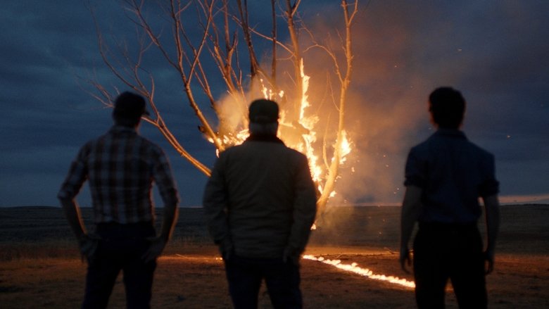 кадр из фильма Hands that Bind