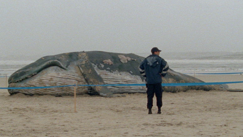 кадр из фильма As Mil e Uma Noites: Volume 1, O Inquieto