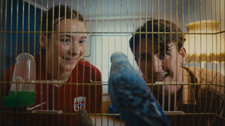 кадр из фильма Rede