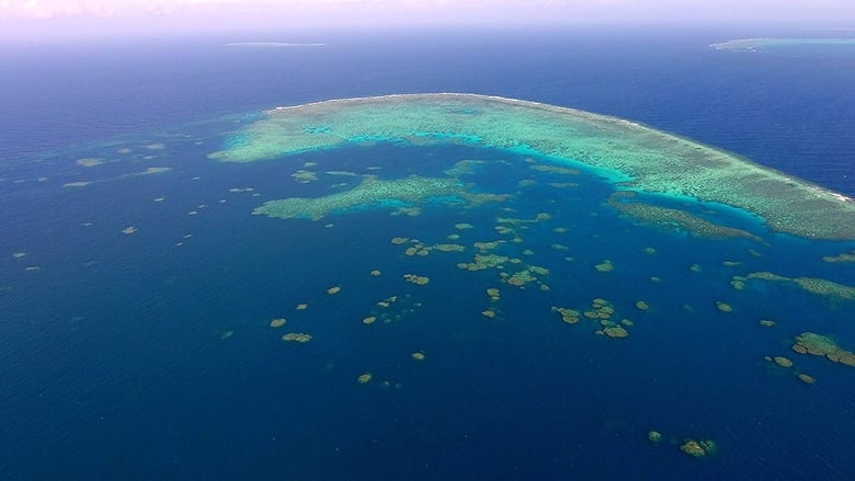 кадр из фильма Evolution 4K