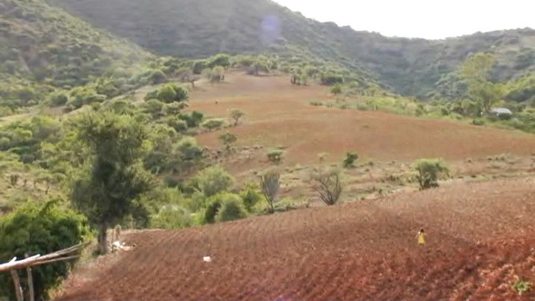 кадр из фильма Los Herederos