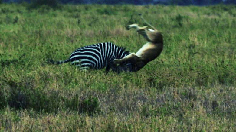 Killer Animal Tactics