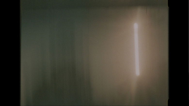 кадр из фильма Cormorant