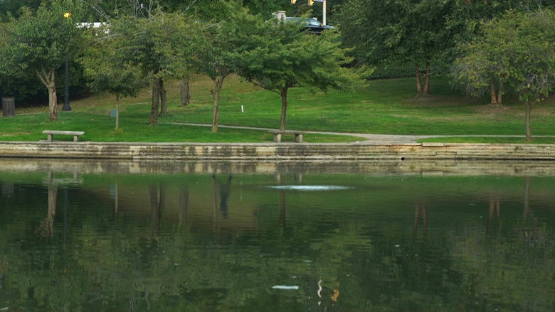 кадр из фильма Reflector