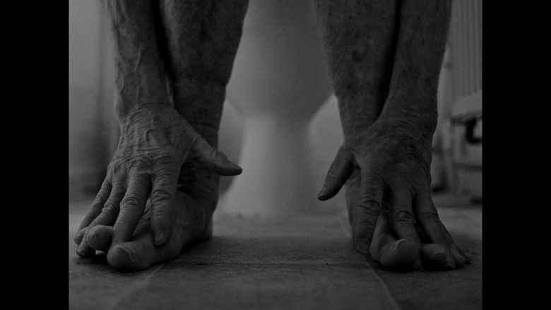 кадр из фильма The Relict