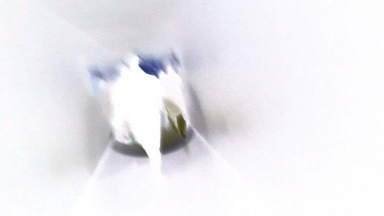 кадр из фильма 세상은 그렇게 끝난다.