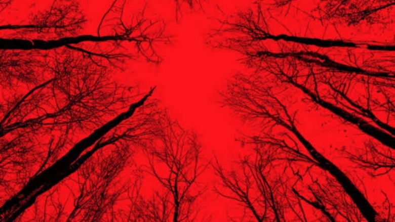 кадр из фильма Ведьма из Блэр: Новая глава