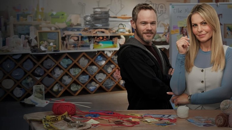 кадр из фильма The Ainsley McGregor Mysteries: A Case for the Yarn Maker