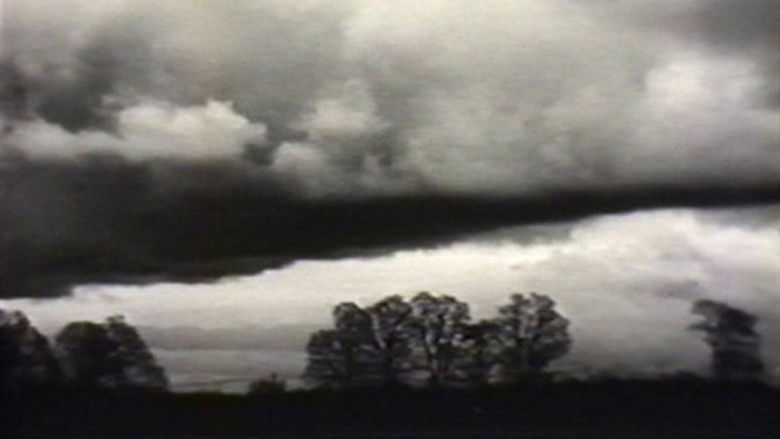 кадр из фильма Landscape (for Manon)