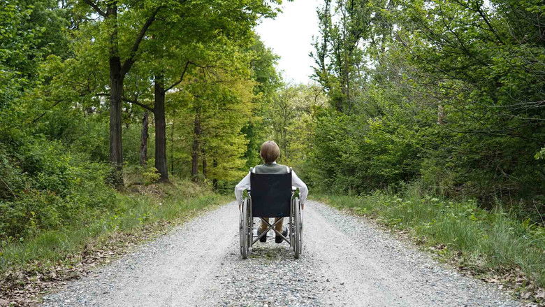 кадр из фильма Секта