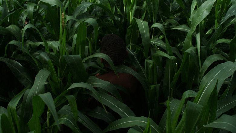 кадр из фильма A última colheita