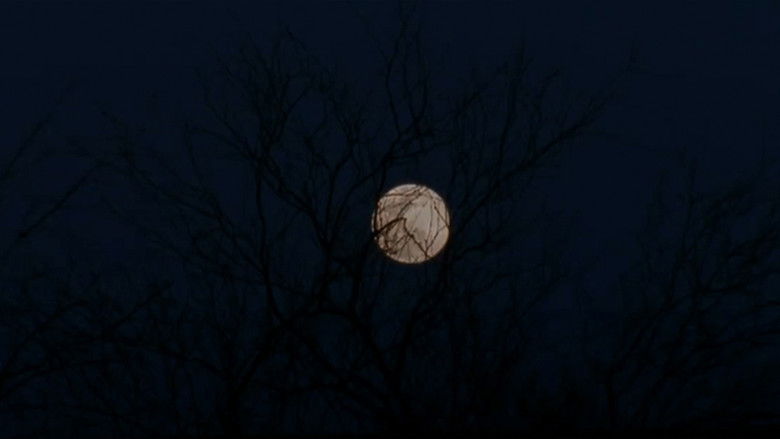 кадр из фильма A Thief Of Time