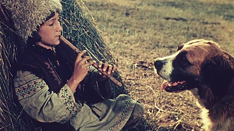 кадр из фильма Андриеш