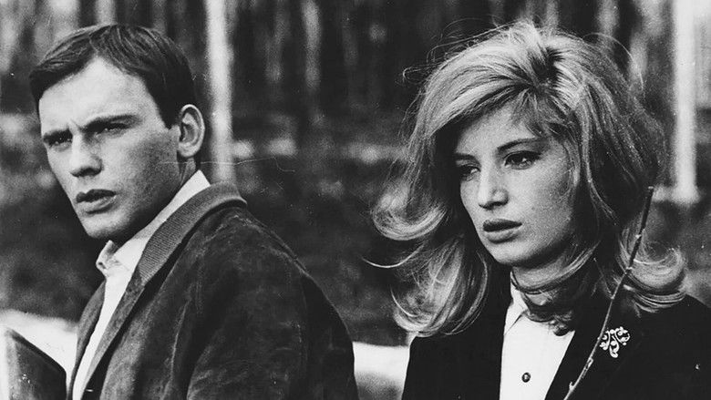 кадр из фильма Замок в Швеции