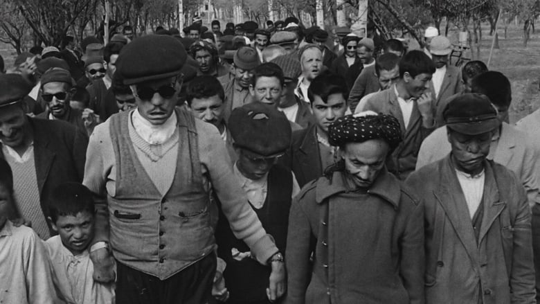 Дом – черный