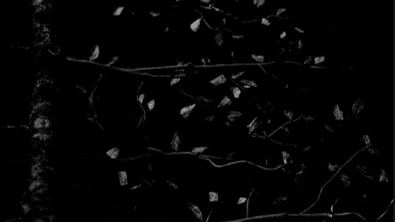 кадр из фильма Gojira: Live at Garorock