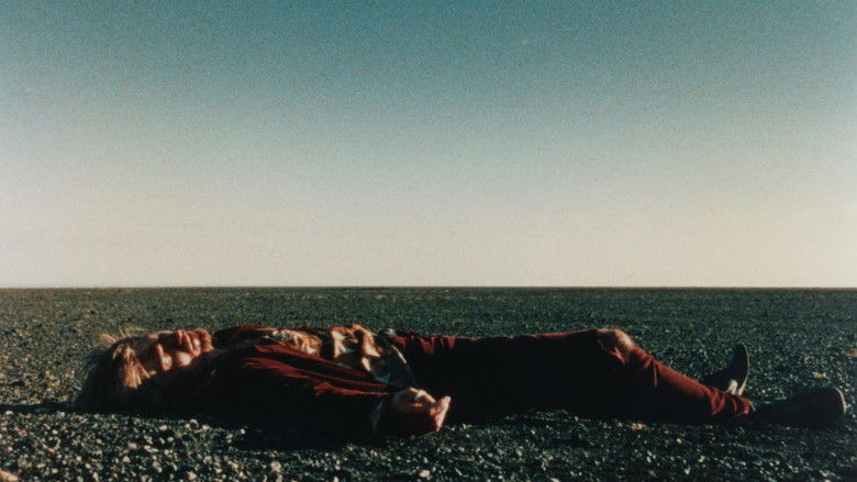 кадр из фильма Заблудившийся