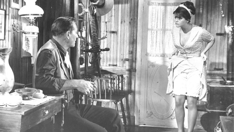 кадр из фильма Мир цирка