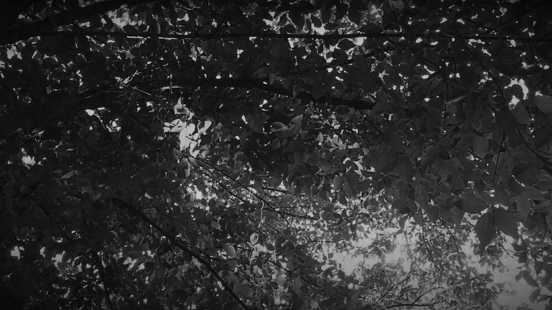 кадр из фильма kibrit kutusu