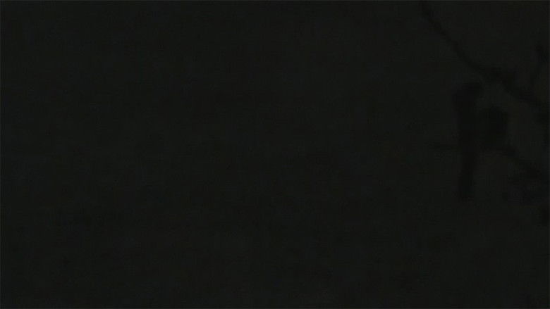 кадр из фильма snow, finally